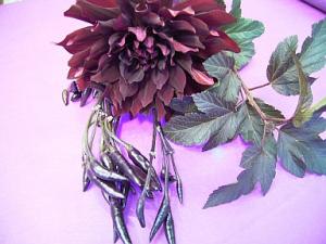秋の香り。｜「山根生花店」　（北海道滝川市の花キューピット加盟店 花屋）のブログ
