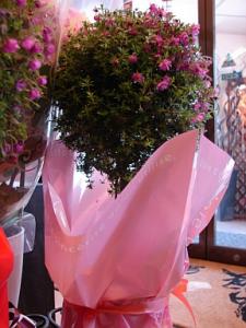 ありがたいことです。｜「山根生花店」　（北海道滝川市の花キューピット加盟店 花屋）のブログ