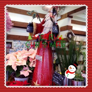 クリスマス☆|「山根生花店」　（北海道滝川市の花屋）のブログ